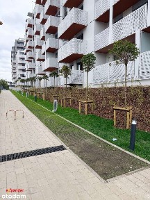 4 pokoje 82 m² | na przestrzał | południowy salon