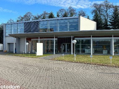 Do wynajęcia lokal użytkowy 340m2