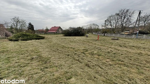 Dom wolnostojący z działką 3711 m² na sprzedaż