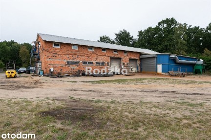 Hala/Magazyn, 520 m², Kruszyn