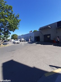 Lokal na sprzedaż 33 m2/ Północ