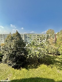 ul. Andromedy, Kopernika, Gliwice, śląskie