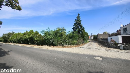 Dom z zabudowaniami i dużą działką 4159 m² - możliwość podziału!