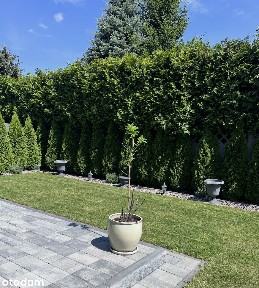 Nowoczesny dom 122 m² | Walerianowo, gm. Komorniki | Wysoki standard