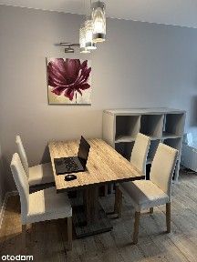 MIESZKANIE 45 MKW. PRZY UL. LNIANEJ (TEOFILÓW, PARTER)