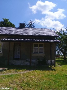 Dom wolnostojący na dużej działce (4271 m2) + budynki gospodarcze