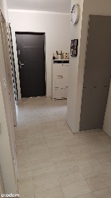 ul. Potulicka, Nowe Miasto, Śródmieście, Szczecin, zachodniopomorskie