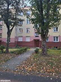 Dębiec (48,64m/2) duży potencjał aranżacyjny