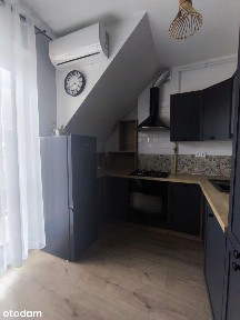 Aleksandra Zelwerowicza, Zalesie, Rzeszów, podkarpackie