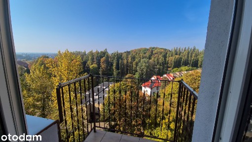 ul. Romualda Traugutta, Dolinki, Gorzów Wielkopolski, lubuskie