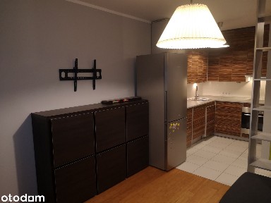 ul. Xsawerego Dunikowskiego, Zalesie, Rzeszów, podkarpackie