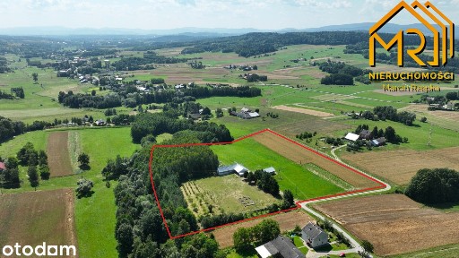 Siedlisko 3,30 ha z wyremontowanymi zabudowaniami - Turza