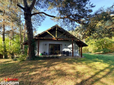 Dom 160 m² wśród lasów | Pompa ciepła + piec | Działka 1950 m²