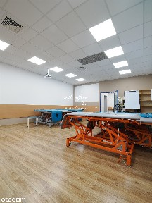 Lokal na wynajem, Wrocław