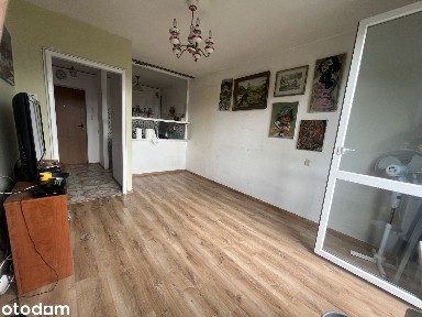 Oaza spokoju na Tysiącleciu: 2 pokoje w zieleni, duży parking, widok