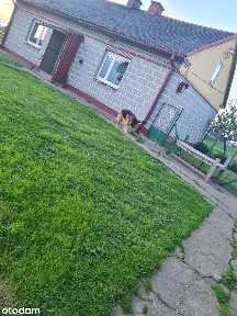 Dom jednorodzinny 75,64m2 z działką 1568m2, cicha okolica Myśliborzyce