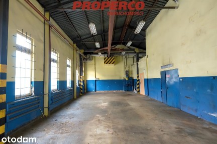 Hala 300 m2, Pod Telegrafem