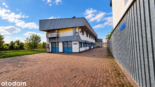 Lokal handlowy/usługowy/użytkowy do wynajęcia