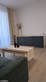 Nowoczesne mieszkanie 30 m² w centrum, wysoki standard, pierwszy najem