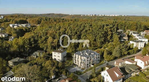 Kameralnie | Las | Pkm | Fitness dla mieszkańców