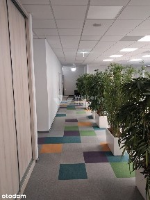Biuro 299 m² w Arkada Business Park