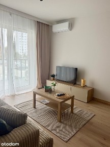 Zygmunta Wojciechowskiego, Piątkowo, Stare Miasto, Poznań, wielkopolskie