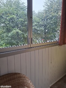 Mieszkanie 1-pokojowe z balkonem w centrum