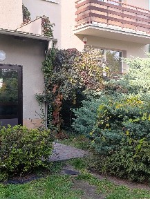 Sprzedam mieszkanie na Bydgoskim Przedmieściu - bez pośredników