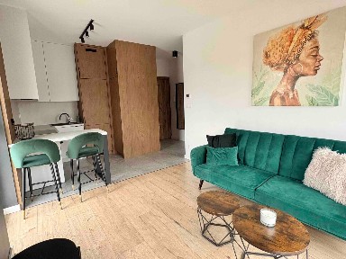 Apartament na wynajem ul.Brzoskiwiniowa