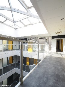 Lokal na wynajem, Wrocław