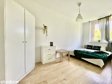ul. Pawła Dubiela, Śródmieście, Zabrze, śląskie
