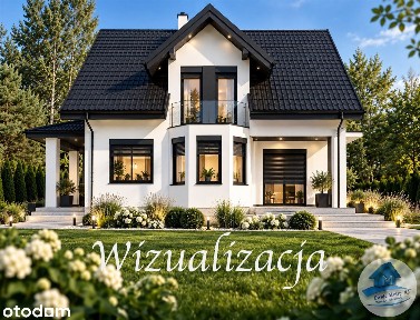 Dziwie, Przedecz, kolski, wielkopolskie