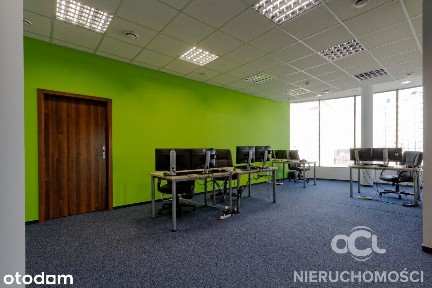 Biuro 102 m² w centrum Opola z windą