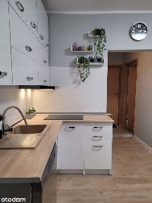 2 pokoje po remoncie | Działka | Parking | 1500 zł