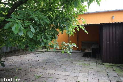 Orłowo, Płużnica, wąbrzeski, kujawsko-pomorskie