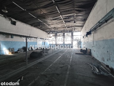 Hala na wyjanem 270m2 Braci Kobylańskich/Drzewica