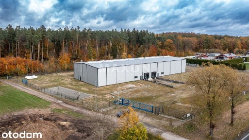 Brodnica, brodnicki, kujawsko-pomorskie