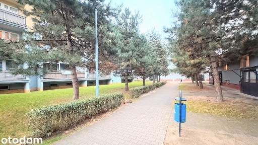 Pierwsze mieszkanie lub inwestycja - Piątkowo