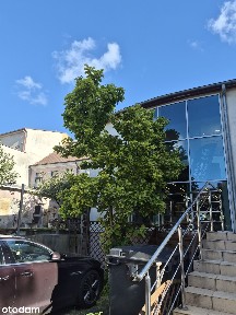 Lokal na wynajem w kamienicy z parkingiem i klimatem