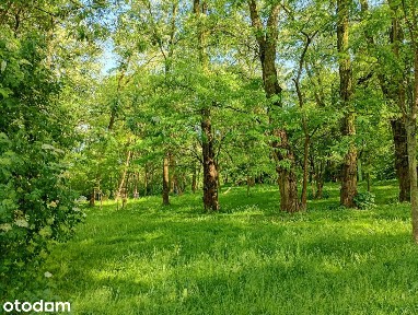 Mistrzejowice, Kraków, małopolskie