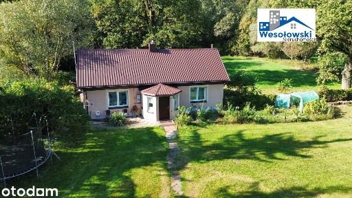 Siedlisko - Dom 65m2 + solidne budynki gosp.+ziemia 1,75ha przy trasie