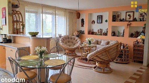 Parkitka, Częstochówka-Parkitka, Częstochowa, śląskie