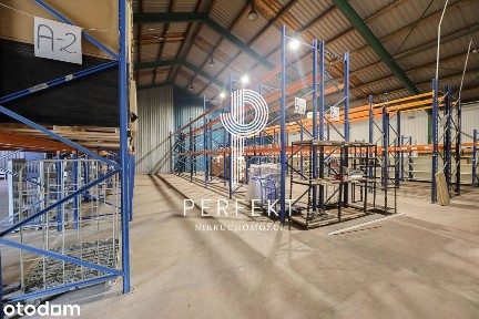 Hala/Magazyn, 500 m², Szczecin