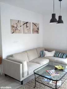 pl. Strzegomski, Szczepin, Stare Miasto, Wrocław, dolnośląskie