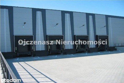 Hala na wynajem, Bydgoszcz