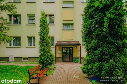 Mieszkanie w Bieruniu do wynajęcia, bez odstępnego