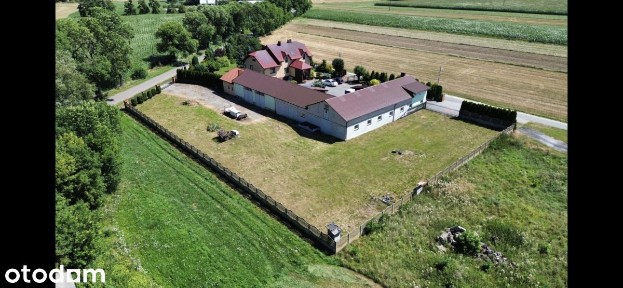 Władysławów Popowski, Głowno, zgierski, łódzkie