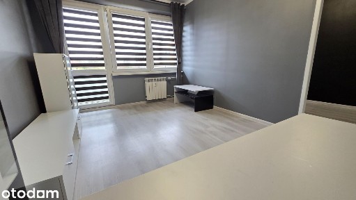 Umeblowane mieszkanie na wynajem Mniszek