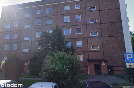Duże mieszkanie w zielonym otoczeniu