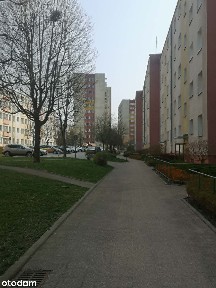 2 pokoje + kuchnia, 42 m², parter, do remontu - Robotnicza, Elbląg
